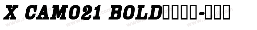 X CAM021 Bold字体下载字体转换